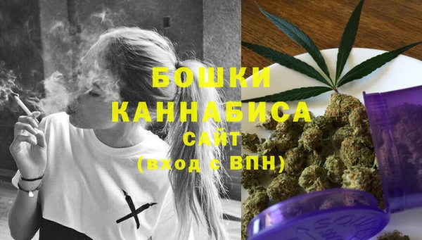 spice Ладушкин