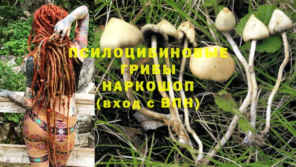 spice Ладушкин