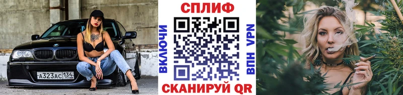 купить наркотики цена  Павловская  МАРИХУАНА ГИДРОПОН 